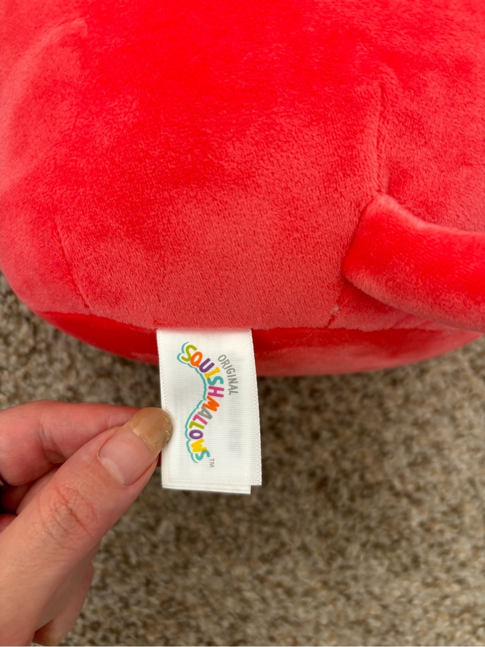 Squishmallows Scarlet the Strawberry Cat Plush | Jazwares | Olma - Picture 5 of 5